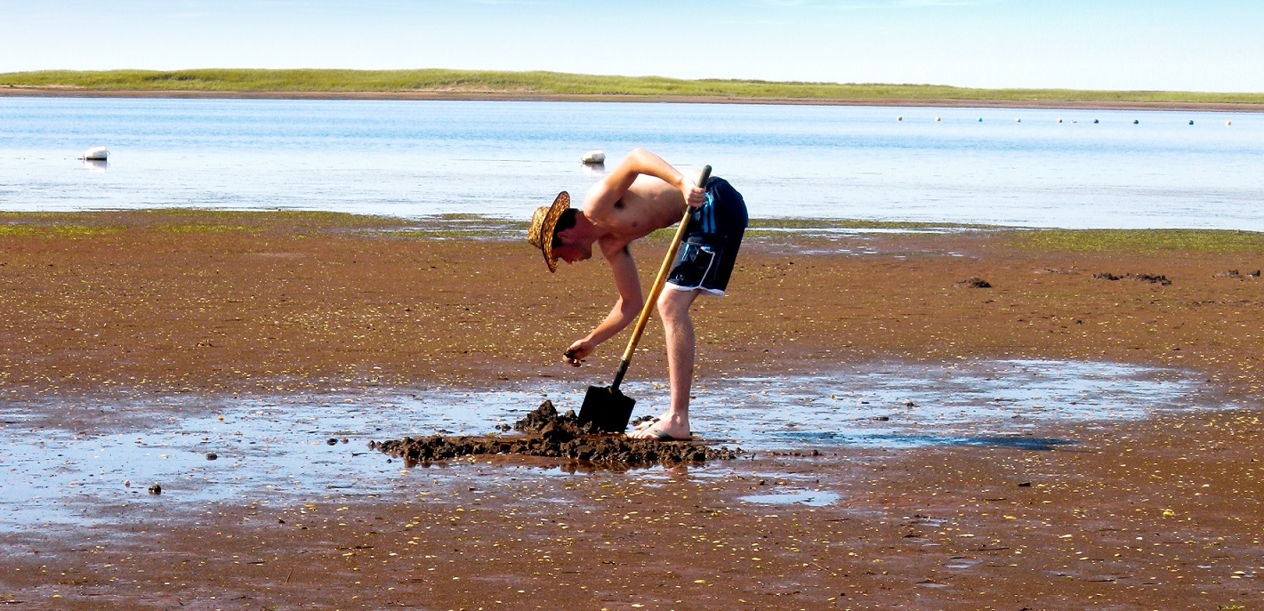 Clam Digging on PEI PEI Local's blog