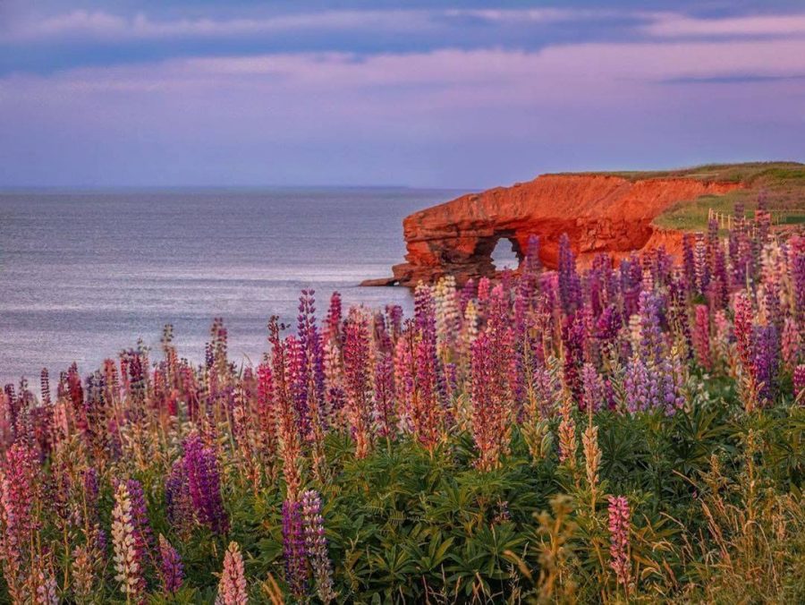 Welcome to PEI! - Welcome PEI