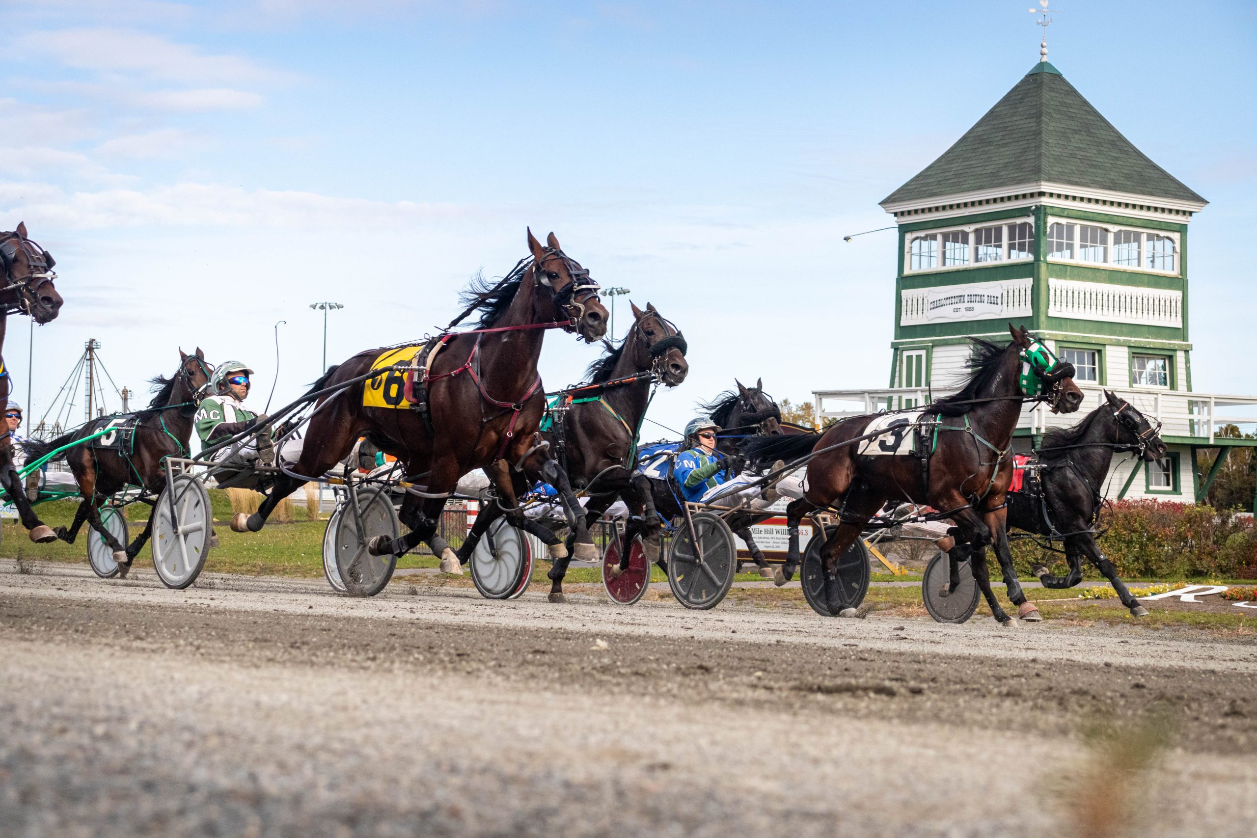 Role At Ractrack Red Shores Ractrack & Casino - Welcome PEI